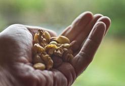 Kış aylarında enfeksiyon riski artıyor! Bu besinleri yiyenler hastalık nedir bilmiyor