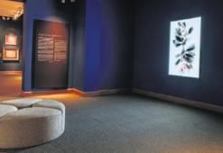 İklim krizine dikkat çekiyor