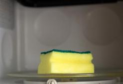 Bakterileri içine çekiyor! Mikrodalga fırında dezenfekte etmek en iyisi