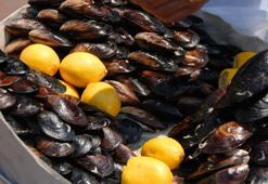 Taze değilse riskli, bozuk midye vücudu mahvediyor! Su testiyle sonucu hemen öğrenin