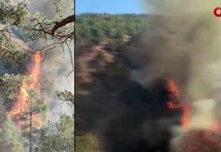Hatay'da çıkan orman yangını kontrol altına alındı