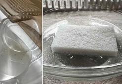 Sünger kokusunu saniyeler içinde yok eden taktik! Mis gibi çıkıyor, denemeyen bin pişman