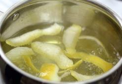 Kış geldi, haşereler eve üşüştü! Limon kabuğuyla çözüm çok kolay, kokusuna dayanamıyorlar