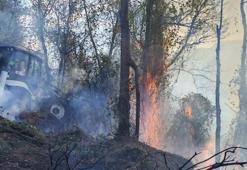 Artvin’de korkutan yangın! Rüzgar alevleri büyüttü