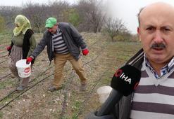 Emekli oldu, deneme amacıyla ekti tüm hayatı değişti! ‘Gramı 600, kilosu 2.500 TL’