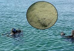 Marmara’nın altından çıkan şok gerçek! 30 noktada korkutan görüntüler