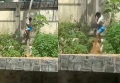 Dehşet anları kamerada! Hayvanat bahçesinde aslanın kafesine girdi, feci şekilde hayatını kaybetti