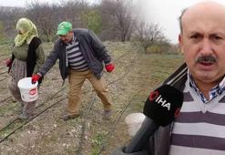 Emekli oldu, deneme amacıyla ekti tüm hayatı değişti! ‘Gramı 600, kilosu 2.500 TL’