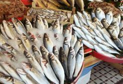 Aralık ayında tüketilmesi gereken balıklar! Omega-3 ve D vitamini ihtiyacını karşılıyor