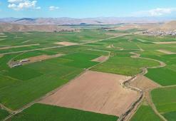 40 milyon TL'lik arsa kabusları oldu: 'Sıkıntıya düşen, boşanma aşamasına gelenler var'