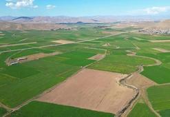 40 milyon TL'lik arsa kabusları oldu: 'Sıkıntıya düşen, boşanma aşamasına gelenler var'