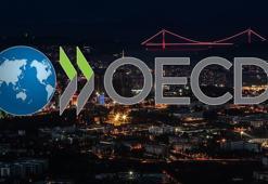 OECD, Türkiye ekonomisi için büyüme tahminini yükseltti