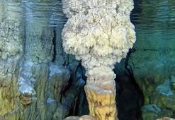 Bir kirpiyi takip ettiler! Çobanın şans eseri bulduğu mağaranın sırları ilk kez böyle görüldü