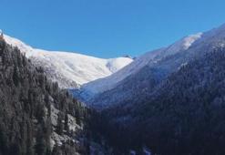 Rize'nin yüksek kesimlerinde kar etkili oldu
