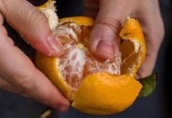 Ekşi mandalina derdi bitiyor! Mandalinaları bal gibi yapan teknik