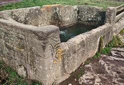 Yer: Bolu! 29 doğasever, dinlemek için mola verdikleri çeşmede şoke oldu