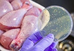 Mutfakta en çok zehirleyen gıda! Bu detayı atlamayın, hayat kurtaran altın kural