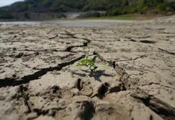 Toprak ile su kaybı, gıdayı ve geleceği doğrudan tehdit ediyor