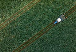 1,1 milyar liralık tarımsal destekleme ödemesi bugün yapılacak