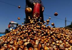 Ticaret borsalarında 138 bin tonu aşkın fındık işlem gördü