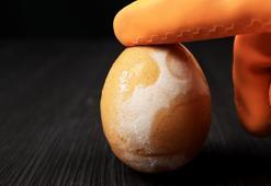 Buzlukta bir yıla kadar dayanıyor! Yumurtanın en güzel hali donmuş olanı mı?