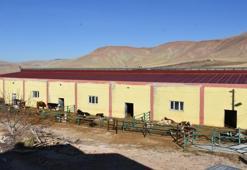 Baba mesleğini devletten aldığı destekle büyüttü: 'Avrupa standartlarında bir tesise kavuştuk'