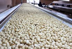 Trabzon'un fındık ihracatı 523 milyon doları aştı
