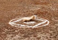 Savunmada gövde gösterisi! ASELSAN 'sadece 1 hafta içinde' diyerek görüntüleri paylaştı! İşte 5 gözde ürün...