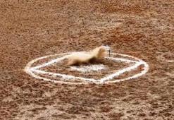 Savunmada gövde gösterisi! ASELSAN 'sadece 1 hafta içinde' diyerek görüntüleri paylaştı! İşte 5 gözde ürün...