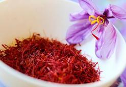 Sahte safranı anlamanın en etkili yöntemi! Su dolu bardağa bir çay kaşığı ekleyin