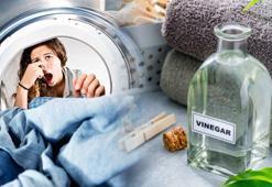 Çamaşırdaki nemi emiyor! Kokudan eser bırakmayan yöntemin sırrı mutfakta saklı