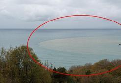 Yer: Bartın! Denizin rengini gören telefona sarıldı