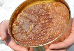 Doğu Karadeniz'in bal ihracatı 1,9 milyon doları aştı