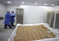 Malatya tarhanası ihracata hazırlanıyor