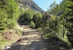 Rize’de orman alarmı! 174 bin hektarlık yeşil alan riskte