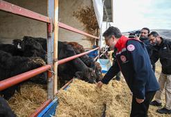Bakan Yumaklı: Kırmızı et üretimi konusunda çok ciddi potansiyelimiz var