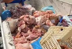 Mahalleyi saran kokunun sebebi şoke etti! Depodan 25 kasa bozuk tavuk çıktı