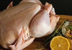 Tavuk eti üretimi ekimde arttı