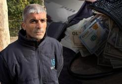 Yer: Kocaeli! Ağacın dibinde 60 bin dolar buldu: Aklımdan asla kötü bir niyet geçmedi