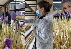 Mesleğinden vazgeçti, üretimine başladı! Gramı 700 liradan satılıyor: Risklerle karşı karşıyasınız