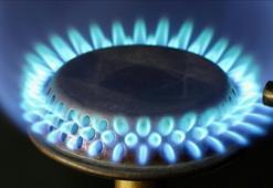 Türkiye'nin doğal gaz ihracat potansiyeli özel sektörün etkin katılımıyla artabilir