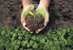 Türkiye’nin İklim Elçileri, Milliyet’e konuştu: ‘COP31’de biz de masada olmalıyız’