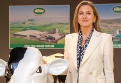 Yeni Rota: Üçüz Dönüşüm