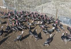 Almanya'dan memleketine dönüp kendi işinin patronu oldu: 'Çevre illere de açılmak istiyoruz'