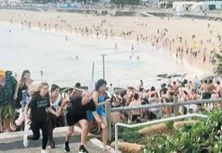 Plajı kana buladılar!