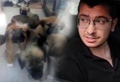 Köpeklere cinsel istismarda bulunup, öldüren doktorun cezası belli oldu! 'Bebekliğimizde kesilen saçlar' savunması