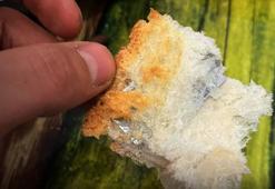 Kahvaltı için aldığı ekmeğin içinden çıkanı görünce dehşete düştü! 'Bir kısmını da yemiştik'