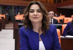 DEM Partili Koçyiğit: Barış yasası çıkarmalı