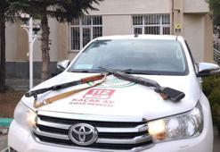 Ava giderken avlandılar! Erzincan'da yaban keçisi avlayan şahıslara dudak uçuklatan ceza