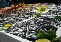 Karadeniz’de hamsi bolluğu sürüyor!